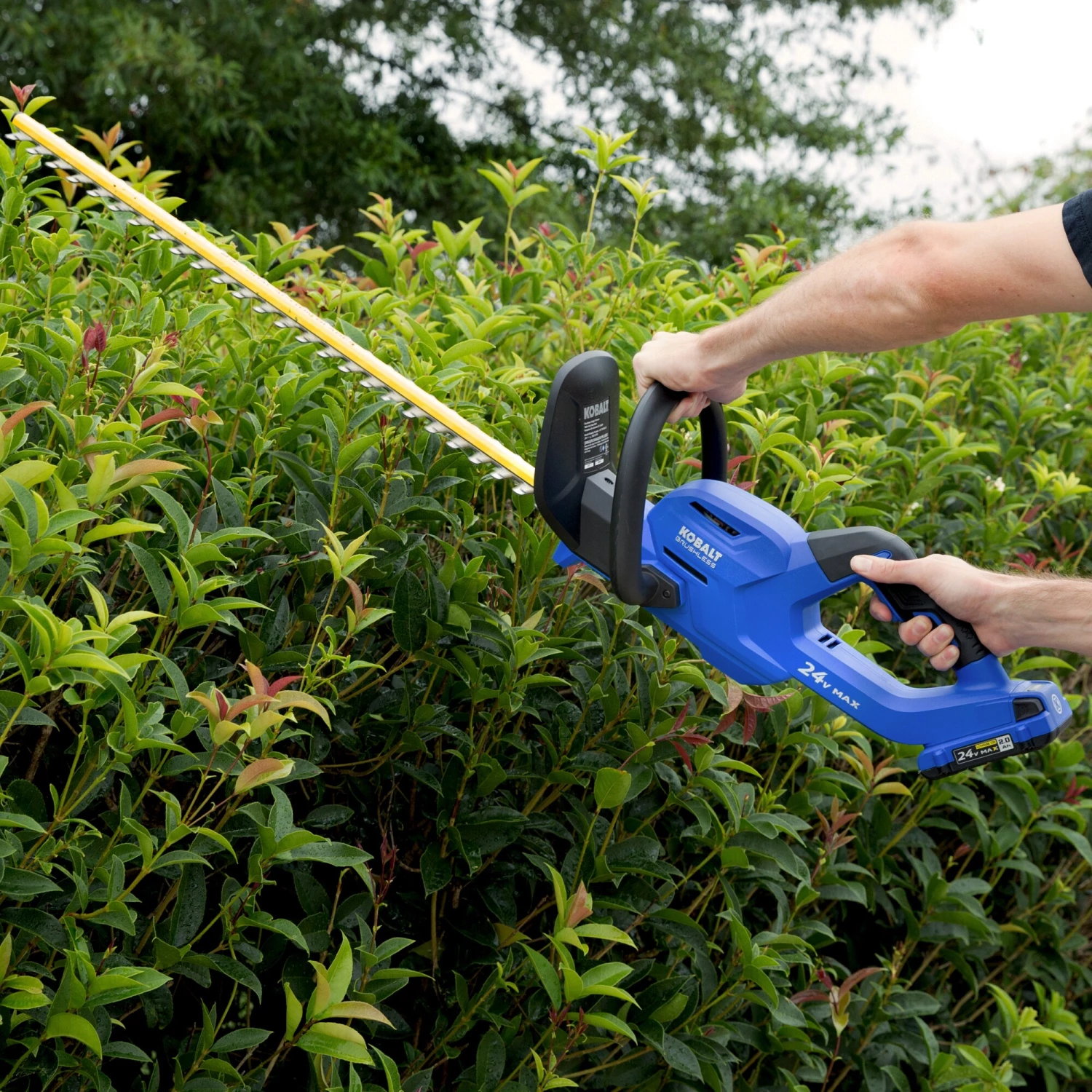 Brand new 🔔 Kobalt Trimmers & Edgers 24-Volt Max 24-in Dual Cordless Electric Hedge Trimmer (1-Battery Included) ⭐ 3 Brand new 🔔 Kobalt Trimmers & Edgers 24-Volt Max 24-in Dual Cordless Electric Hedge Trimmer (1-Battery Included) ⭐ - Image 3