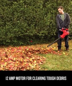 Budget ✨ CRAFTSMAN Leaf Blowers 12-Amp 450-CFM 260-MPH Corded Electric Leaf Blower (Vacuum Kit Included) 👏 -Deals Outdoor Tools Store 11736193