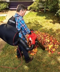 Budget ✨ CRAFTSMAN Leaf Blowers 12-Amp 450-CFM 260-MPH Corded Electric Leaf Blower (Vacuum Kit Included) 👏 -Deals Outdoor Tools Store 15280306