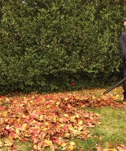 Budget ✨ CRAFTSMAN Leaf Blowers 12-Amp 450-CFM 260-MPH Corded Electric Leaf Blower (Vacuum Kit Included) 👏 -Deals Outdoor Tools Store 17124961