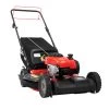 Outlet ⌛ CRAFTSMAN Lawn Mowers M220 150-cc 21-in Gas Push Lawn Mower Briggs & Stratton Engine 🎁