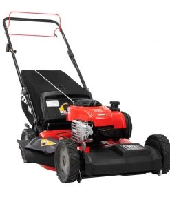 Outlet ⌛ CRAFTSMAN Lawn Mowers M220 150-cc 21-in Gas Push Lawn Mower Briggs & Stratton Engine 🎁