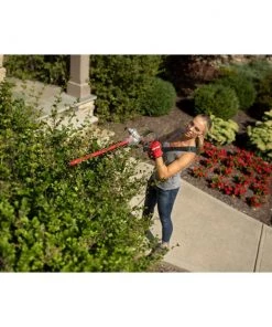 Best reviews of ✨ CRAFTSMAN Trimmers & Edgers HT2200 25-cc 2-cycle 22-in Dual-Blade Gas Hedge Trimmer 🔔 -Deals Outdoor Tools Store 42383243
