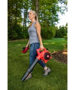 Buy ⭐ CRAFTSMAN Leaf Blowers B2000 25-cu cm 2-cycle 180-MPH 410-CFM Handheld Gas Leaf Blower 🎉 -Deals Outdoor Tools Store 42384554