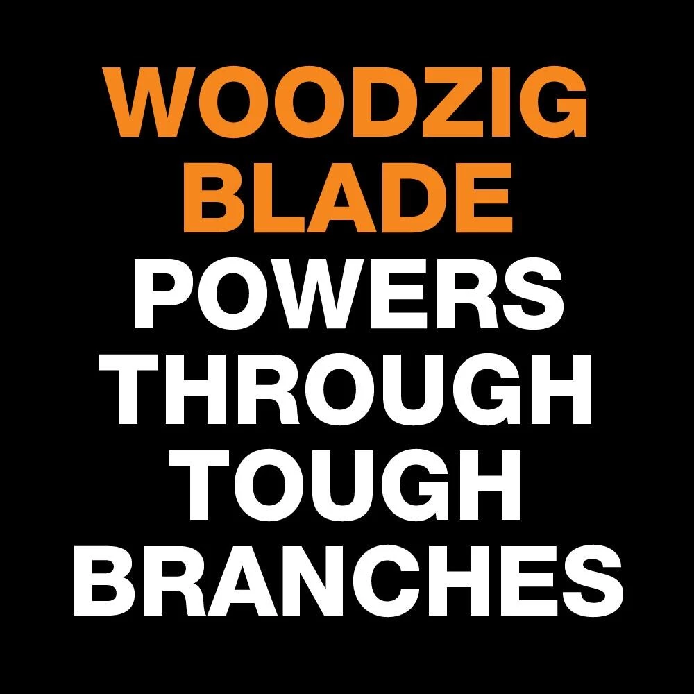 Deals 🎉 Fiskars Chainsaws & Pole Saws Power-Lever 14-ft Fiberglass Pole Pruner 👏 9 Deals 🎉 Fiskars Chainsaws & Pole Saws Power-Lever 14-ft Fiberglass Pole Pruner 👏 - Image 9