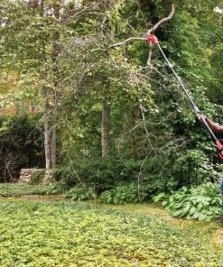 Hot Sale 🤩 CRAFTSMAN Chainsaws & Pole Saws V20 20-Volt 8-in Cordless Electric Pole Saw (Battery Not Included) 🧨 -Deals Outdoor Tools Store 43185815