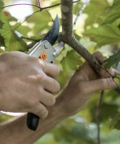 Flash Sale 🔔 Fiskars Lawn & Garden Hand Tools Ultrablade Pruner Steel Bypass Hand Pruner with Standard Handle 😍 -Deals Outdoor Tools Store 43640488
